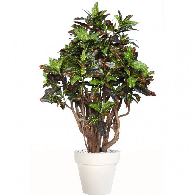 Planta semi-artificiala Ila, Croton Robusta Multicolor - 180 cm